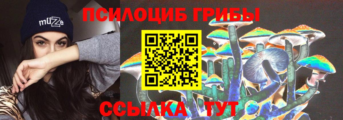 Псилоцибиновые грибы Cubensis  Вход с VPN  Псилоцибиновые грибы мицелий  Майский 
