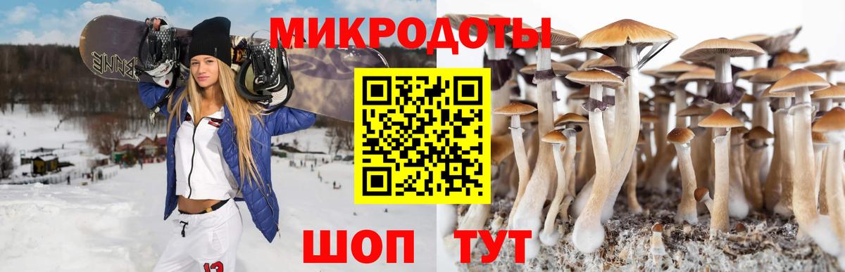 Галлюциногенные грибы прущие грибы Майский